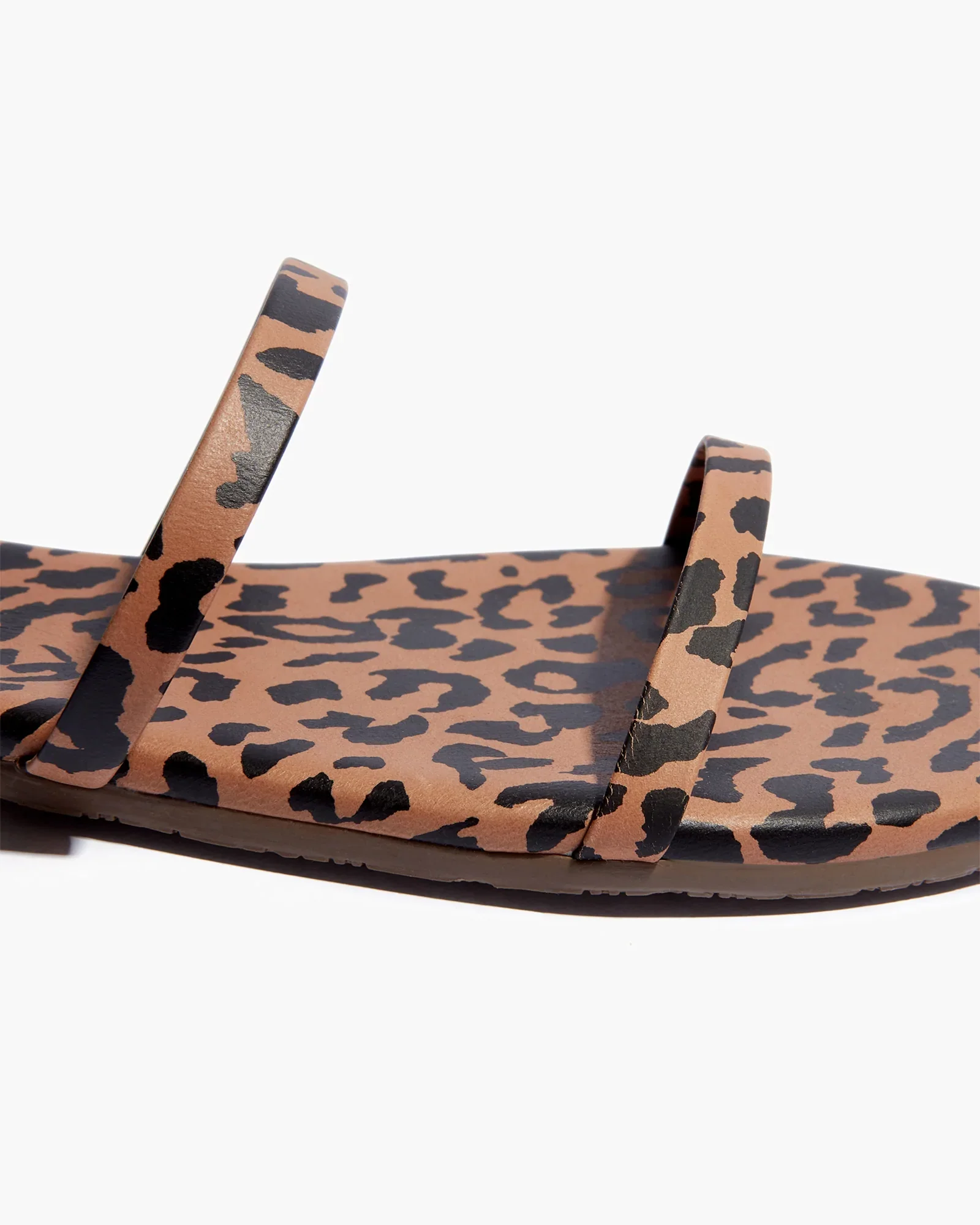Gemma Animal - Cheetah - Image 3