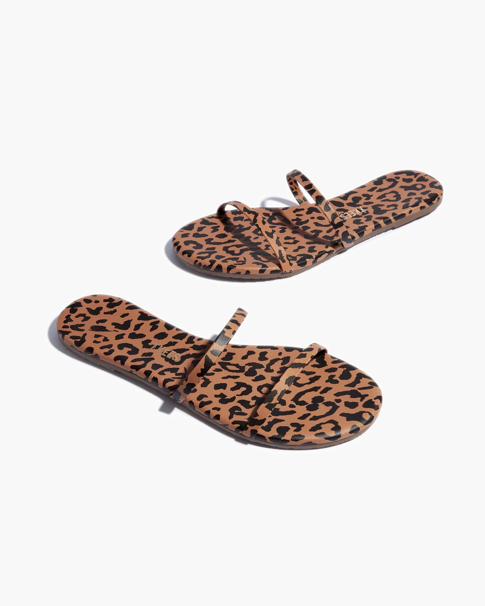 Gemma Animal - Cheetah - Image 4